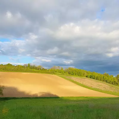 Balade à Bussy en Othe