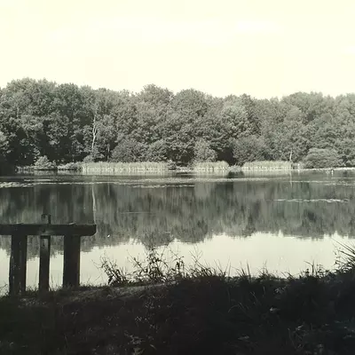 LES ETANGS DE SAINT ANGE