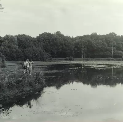 LES ETANGS DE SAINT ANGE