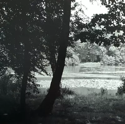 LES ETANGS DE SAINT ANGE