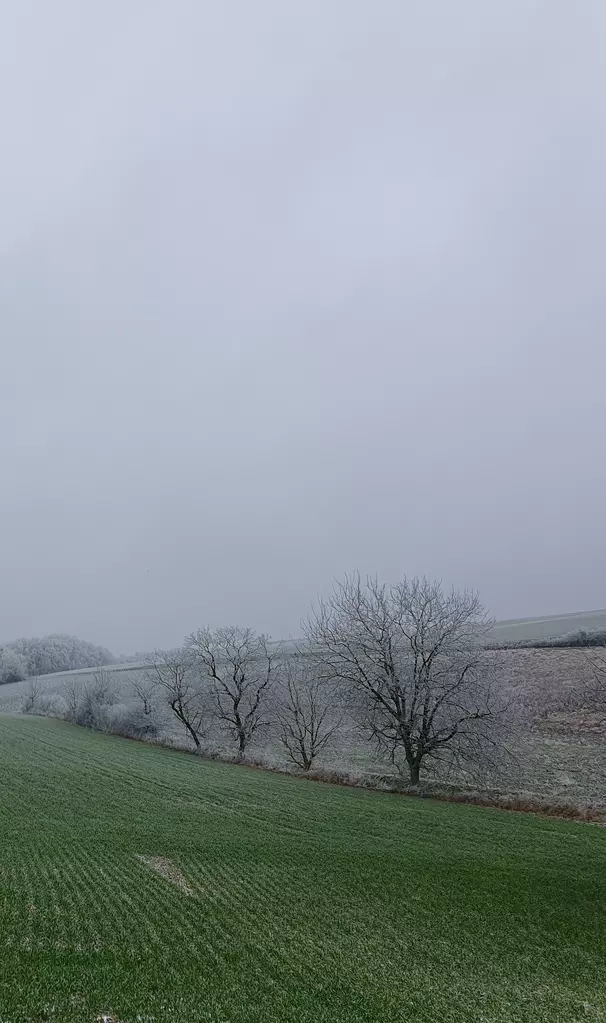 La nature sous le givre à BUSSY 