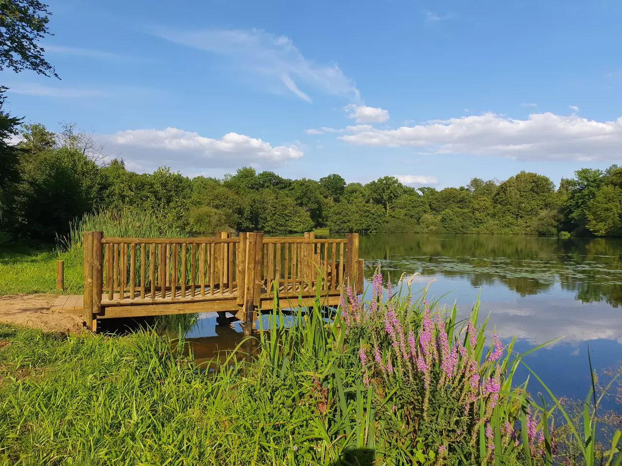 BALADES autour des 3 ETANGS de Saint ANGE